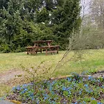 Ferienwohnung Die Dumelstube in Winterberg