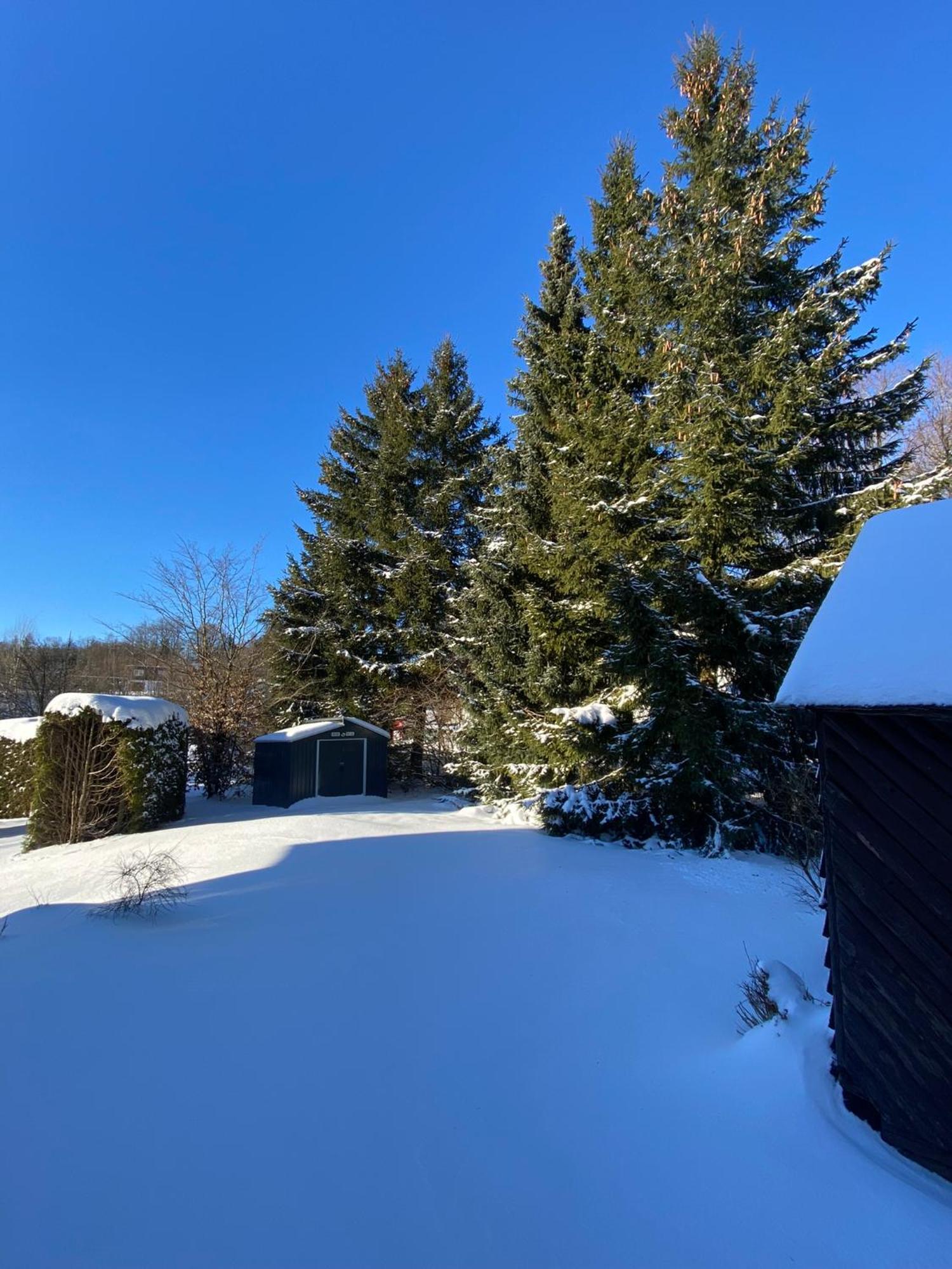 Dumelstube In Winterberg